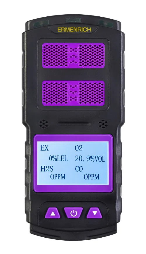 immagine di Rilevatore di gas Ermenrich NG60, immagine 4